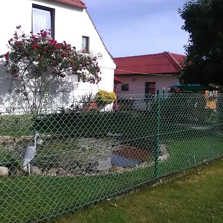 Pod Strusiami * Kolczewo